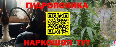 мяу мяу мука Кунгур