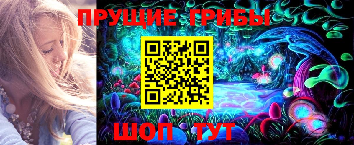 Псилоцибиновые грибы прущие грибы  Вход с VPN  Жуковский  Галлюциногенные грибы прущие грибы 