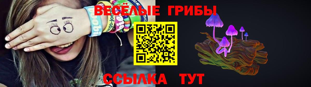 Галлюциногенные грибы мицелий Жуковский